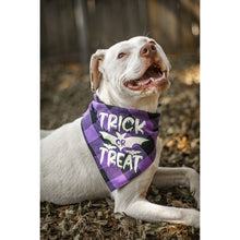 Load image into Gallery viewer, Julia Rose Halloween dog triangle collar scarf, Halloween dog bandana triangle style