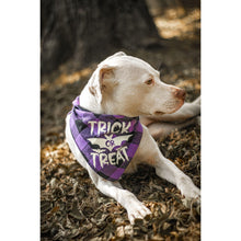 Load image into Gallery viewer, Julia Rose Halloween dog triangle collar scarf, Halloween dog bandana triangle style