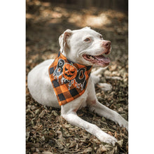 Load image into Gallery viewer, Ready to Ship | Halloween Dog Triangle Collar/Scarf*