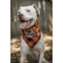 Load image into Gallery viewer, Julia Rose Halloween dog triangle collar scarf, Halloween dog bandana triangle style