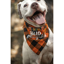 Load image into Gallery viewer, Julia Rose Halloween dog triangle collar scarf, Halloween dog bandana triangle style