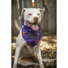 Load image into Gallery viewer, Julia Rose Halloween dog triangle collar scarf, Halloween dog bandana triangle style