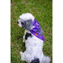 Load image into Gallery viewer, Julia Rose Halloween dog triangle collar scarf, Halloween dog bandana triangle style