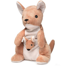 Load image into Gallery viewer, PREORDER: Assorted Plush Heated Warmies