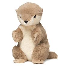 Load image into Gallery viewer, PREORDER: Assorted Plush Heated Warmies