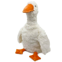 Load image into Gallery viewer, PREORDER: Assorted Plush Heated Warmies