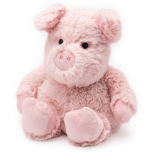 Load image into Gallery viewer, PREORDER: Assorted Plush Heated Warmies