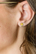 Load image into Gallery viewer, Perfect Combo Earrings