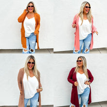 Load image into Gallery viewer, PREORDER: Winter Sierra Cardigan in Four Colors