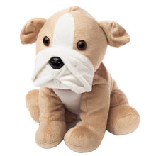 Load image into Gallery viewer, PREORDER: Assorted Plush Heated Warmies