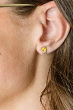 Load image into Gallery viewer, Perfect Combo Earrings
